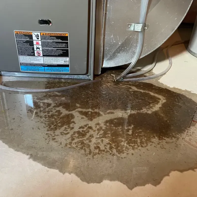 Appliance Leak Cleanup in Milford, IN